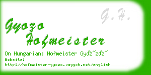 gyozo hofmeister business card